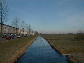 Grote Buitendijk