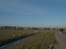 Grote Buitendijk